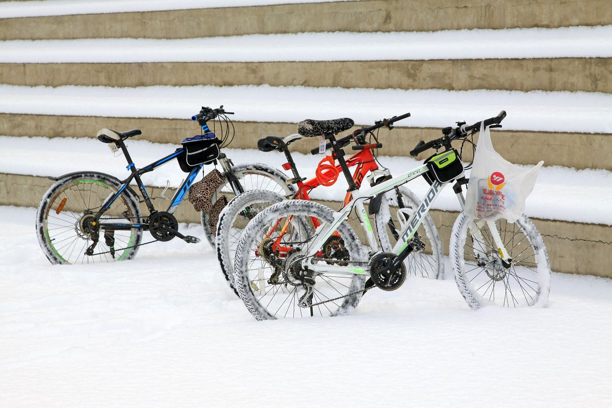 Parked mountain bikes