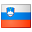 Slovenia flag