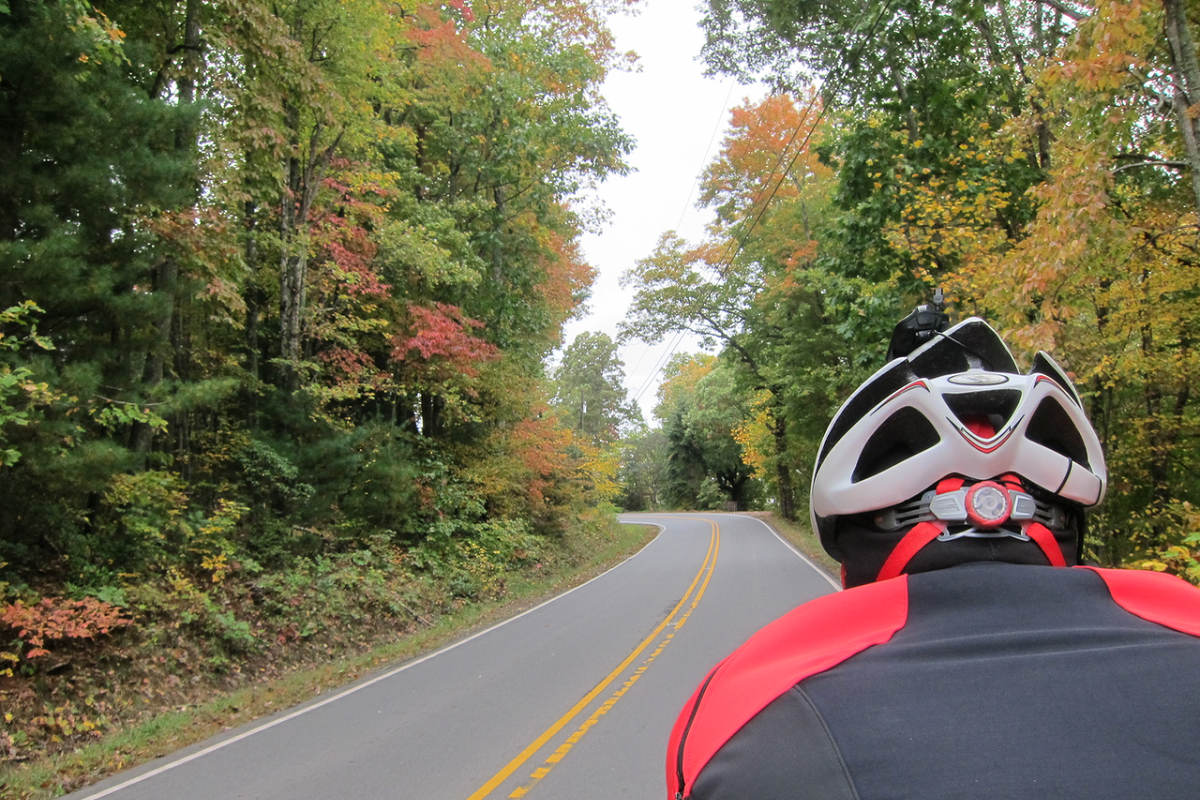 Cycling in fall colors