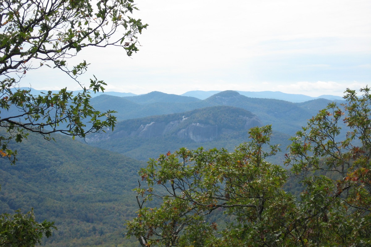 Pisgah National Forest