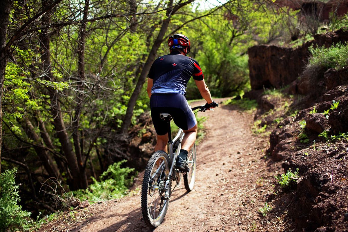 Mountain biking in the forest