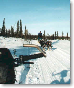 Alaskan Trails