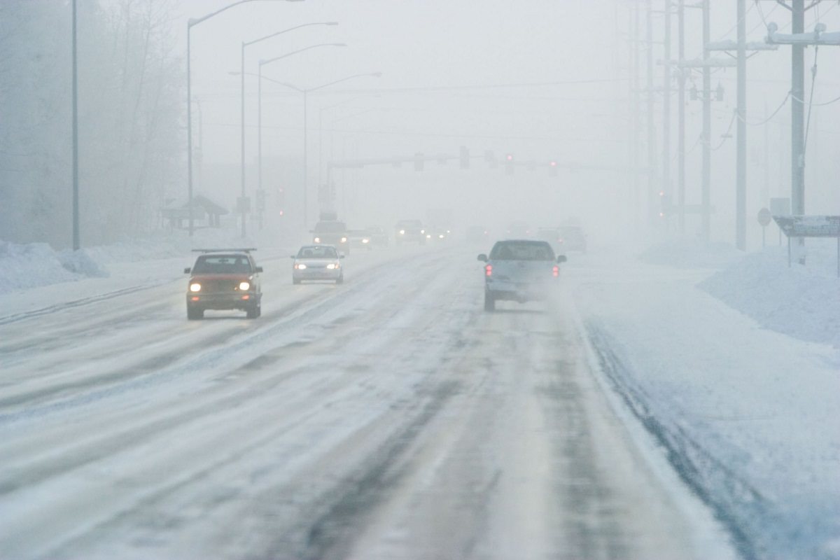 Cars on a road