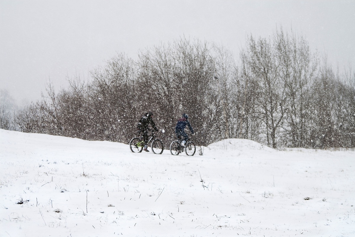 Snow covered nature