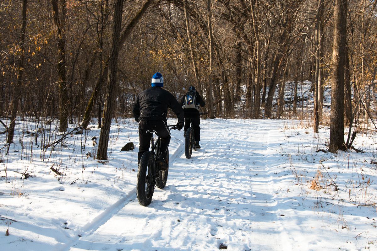 Fat bikes in the snow