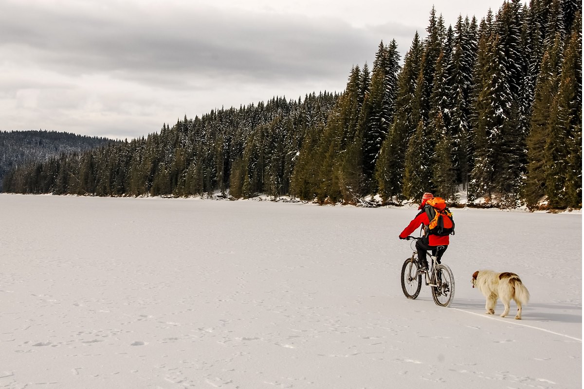 Cycling in the nature during the winter