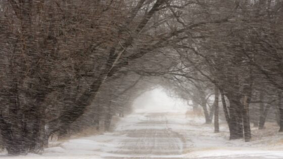 Snow storm