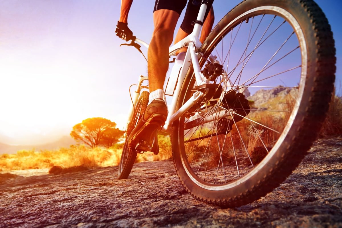 Cyclist riding on mountain trail