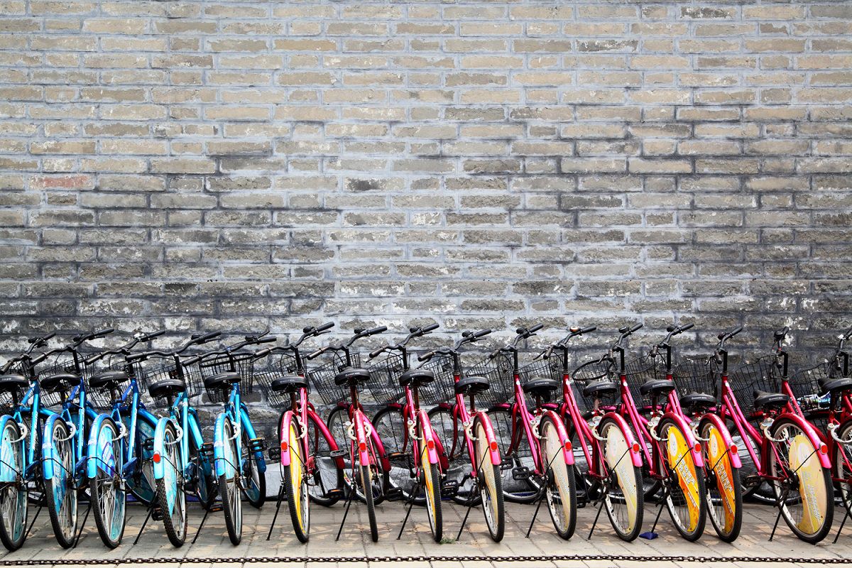 Bicycles for rent