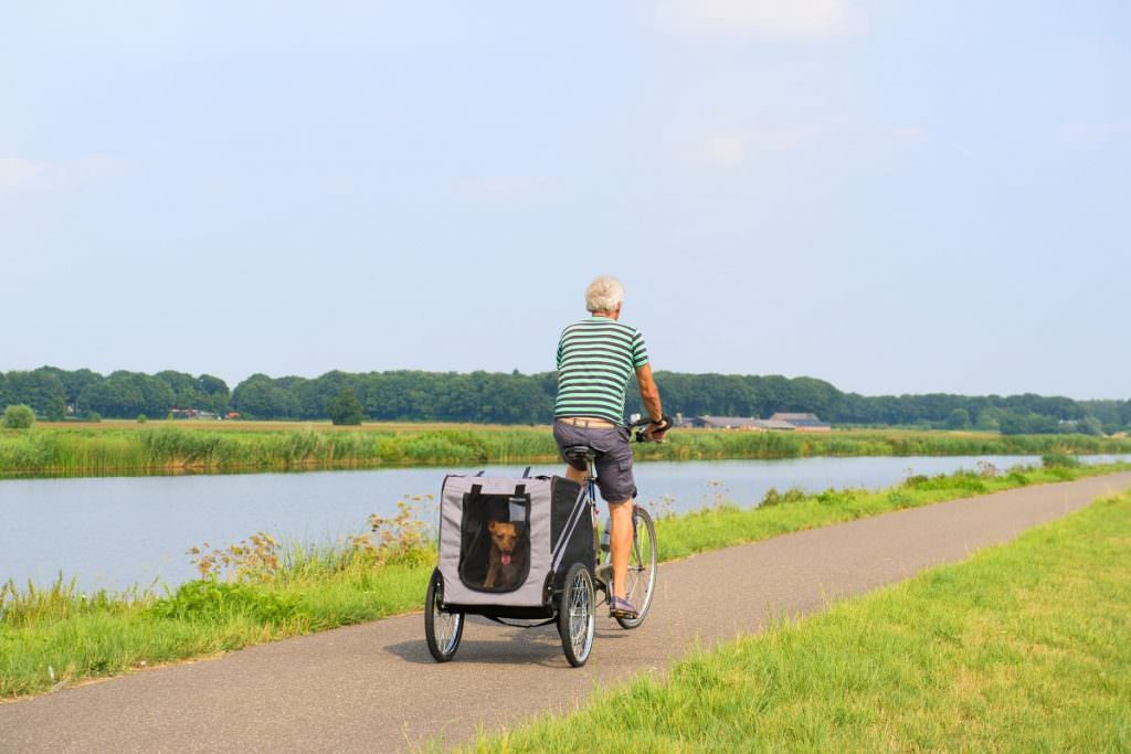 Biking with a dog trailer