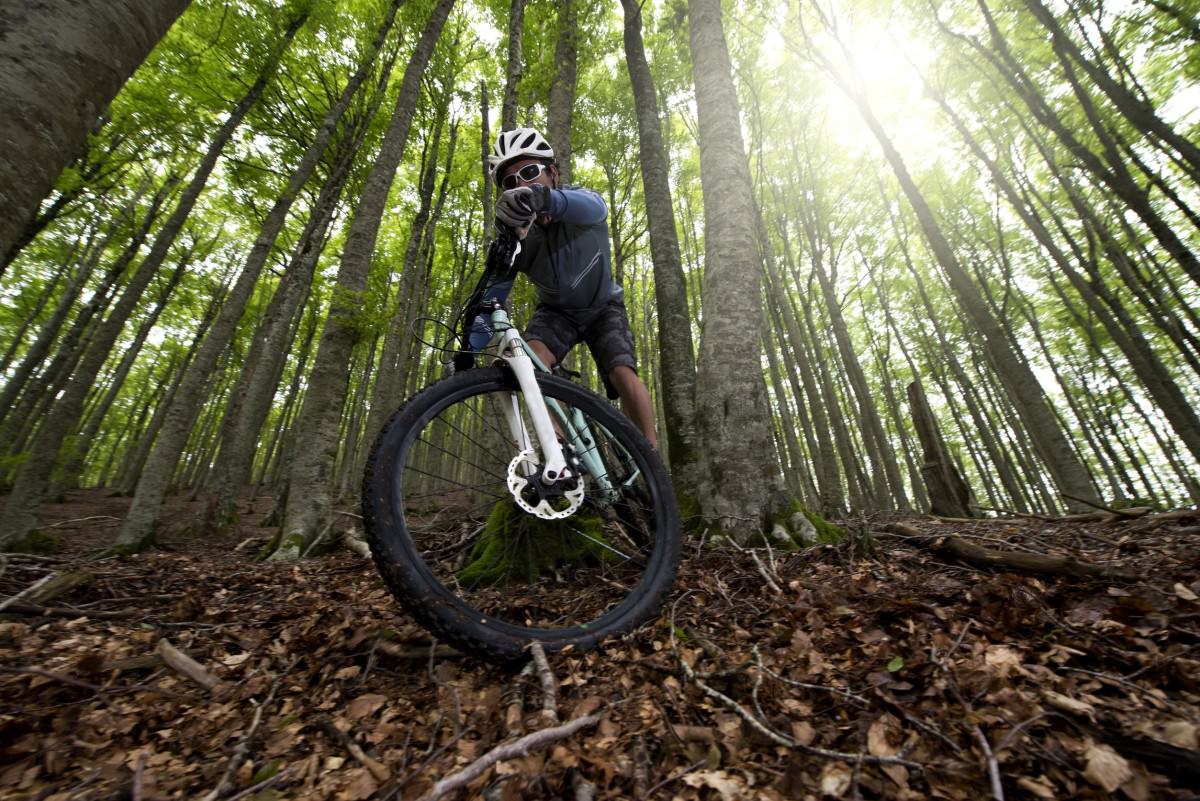 Freestyle mountain bike action