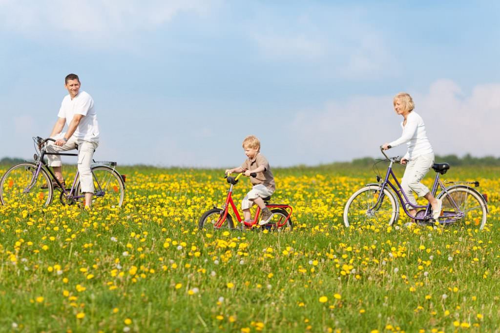 Family on bikes