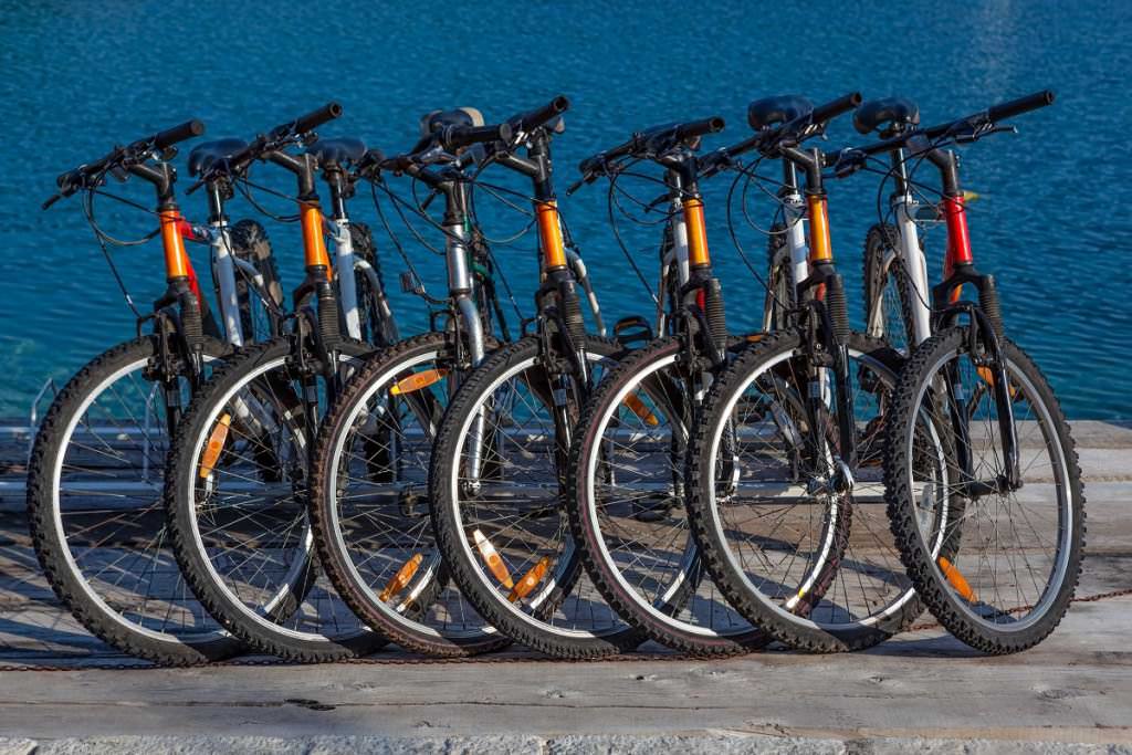 Rental bikes