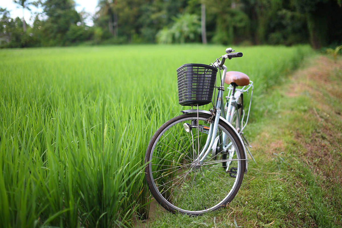 Bike near grass field