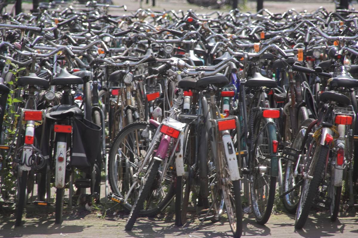 Numerous bicycles together