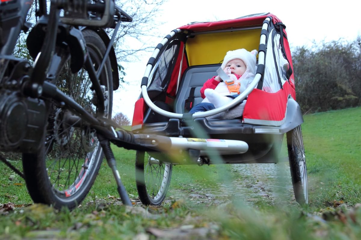 Baby in a child bike trailer