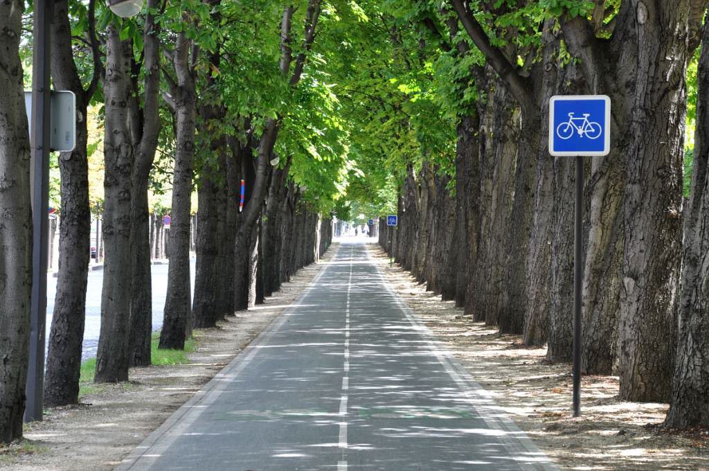 Bike lane with trees