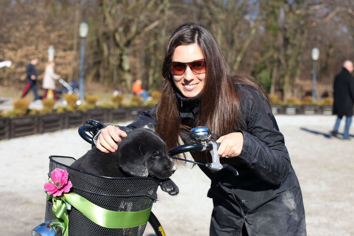 Happy cyclist