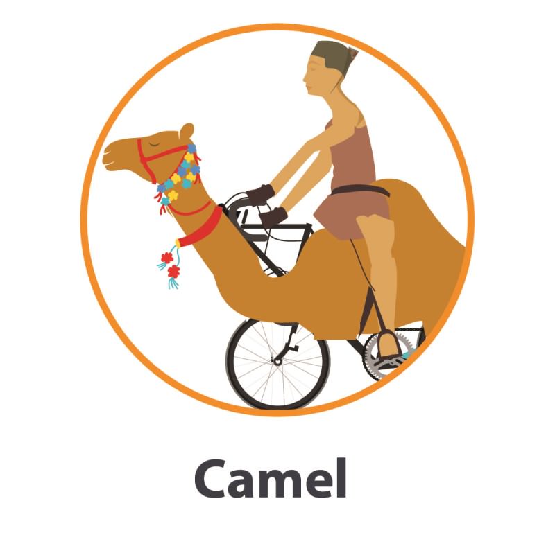Camel costume