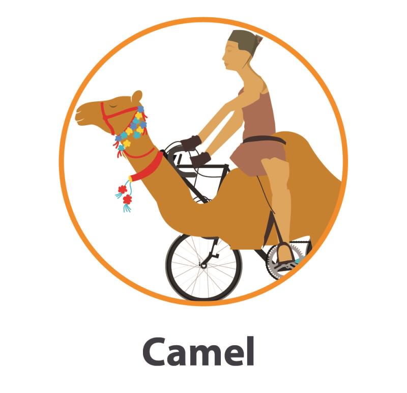 Camel costume