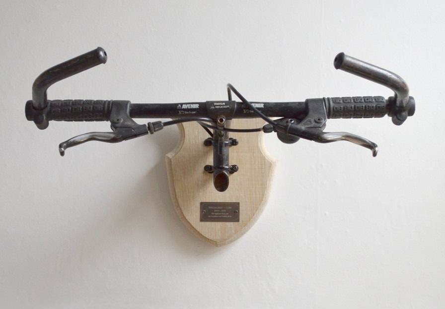 Bicycle taxidermy
