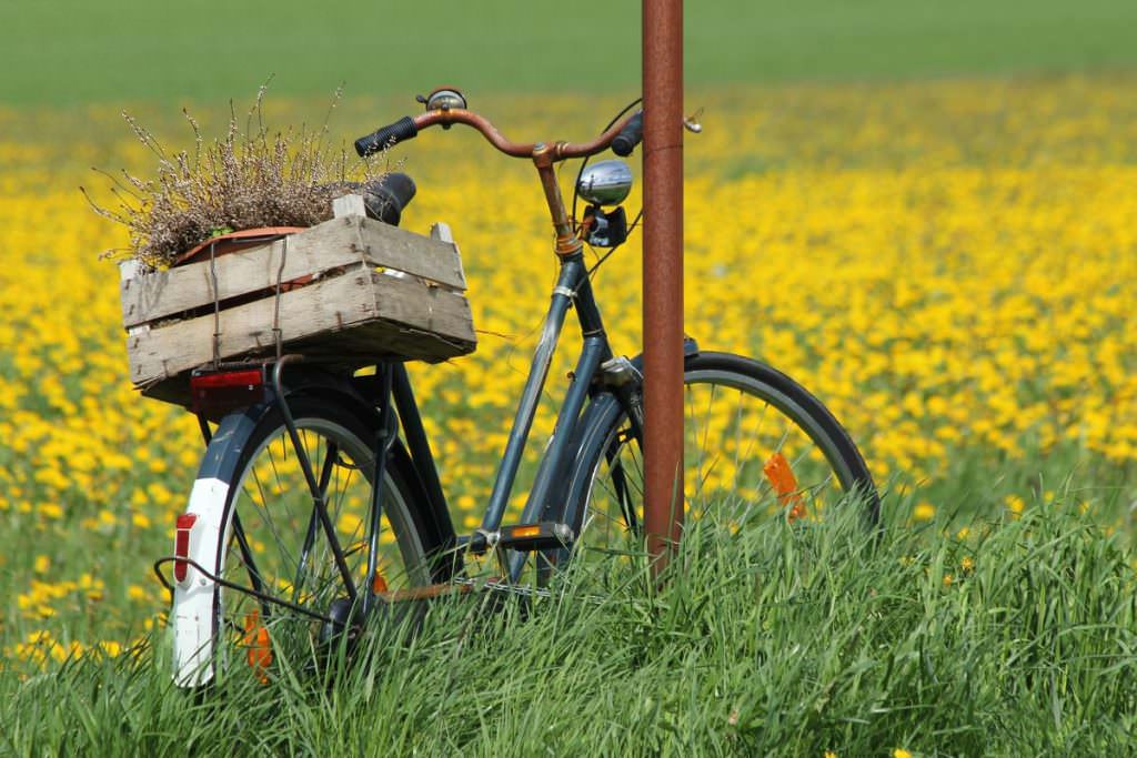 Bicycle parked against a pole