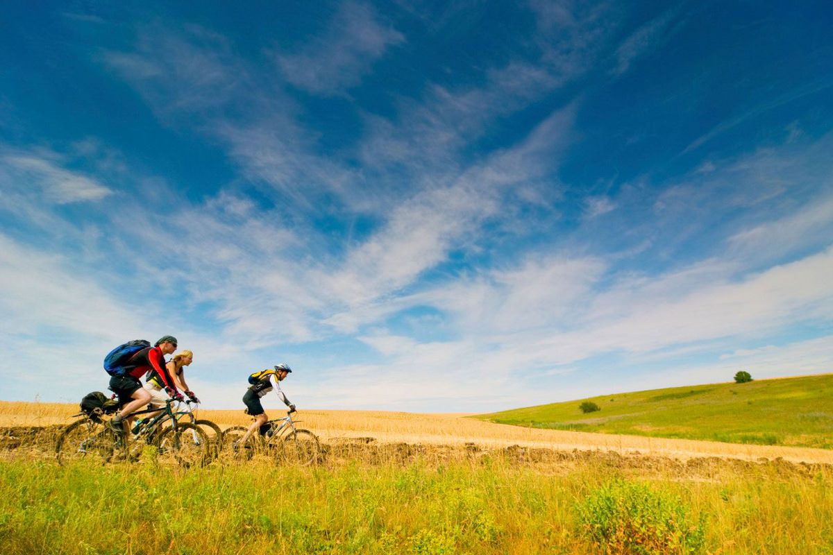 Group of summer cyclists