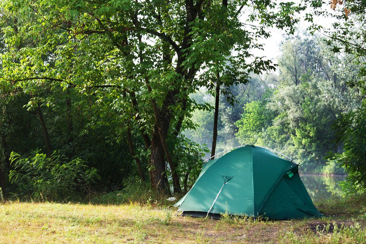 Tent in a forest