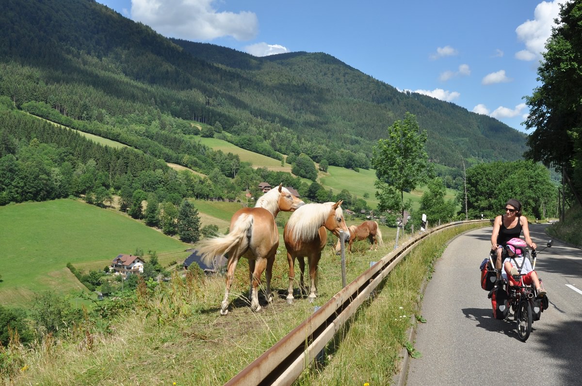 Pino Hase tandem cycling