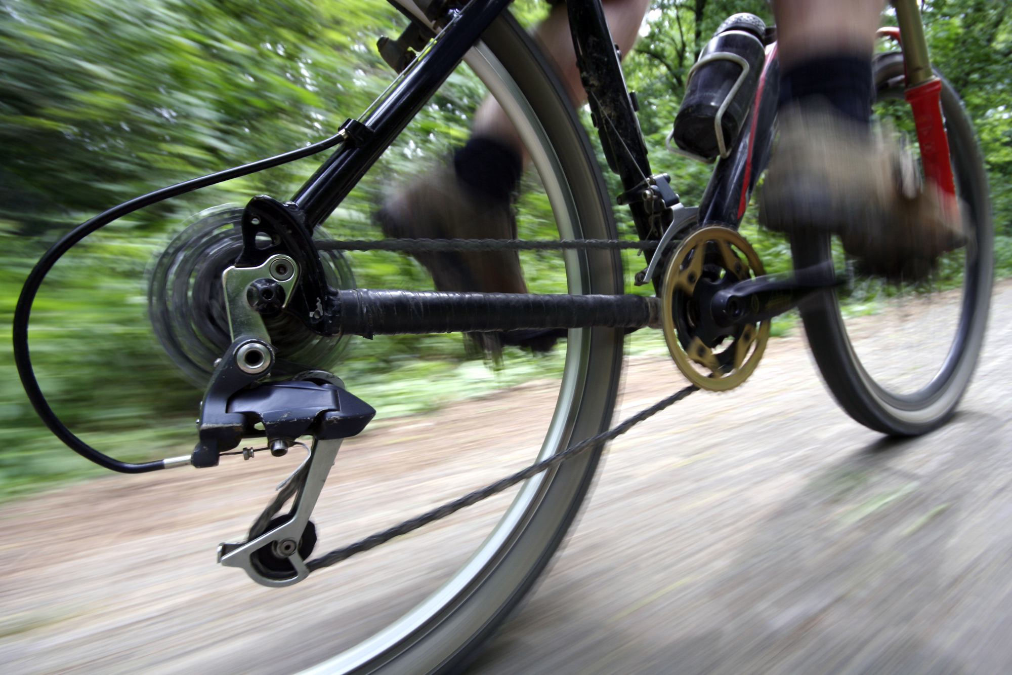 road bike wheel in the forest