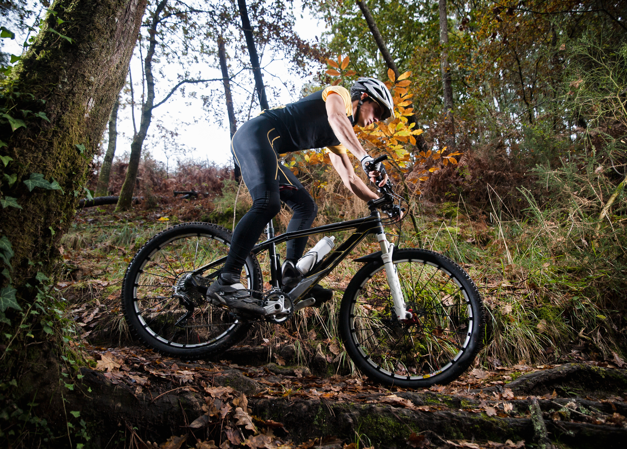 woman mountain biking in the forest