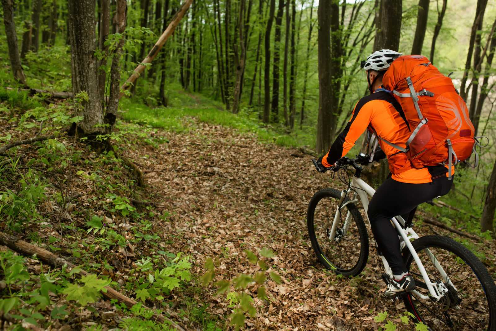 cycling in the forest with backpack