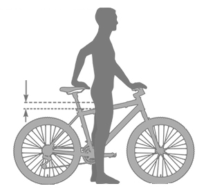 Bike Size Chart: What Size Bike Do I Need? - Icebike.org