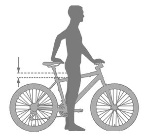 ▷Bike Size Chart: How to Choose the Bike that Fits! (GUIDE)