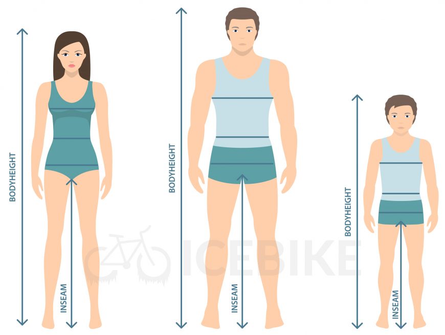 Measurement of Leg Inseam