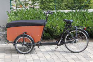 what age baby bike trailer