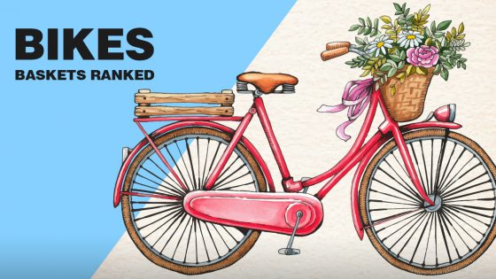 Best Bike Baskets Reviewed And Ranked