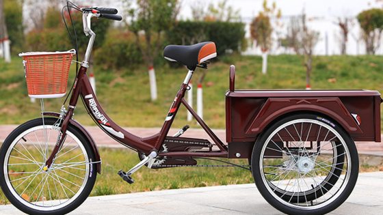 Best Tricycle For Adults