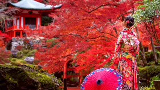 Cycling In Japan