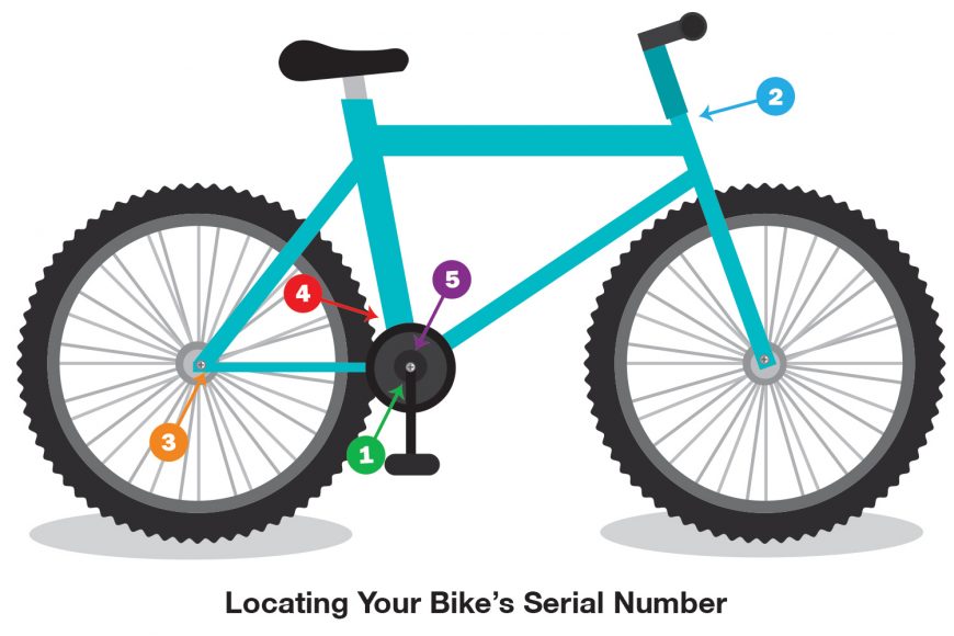 Locating Your Bike Serial Number