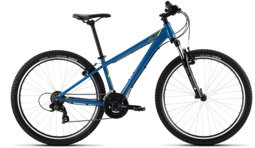 Raleigh Talus 1