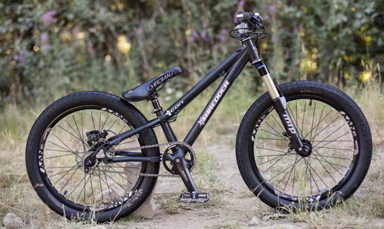 coors light beach cruiser