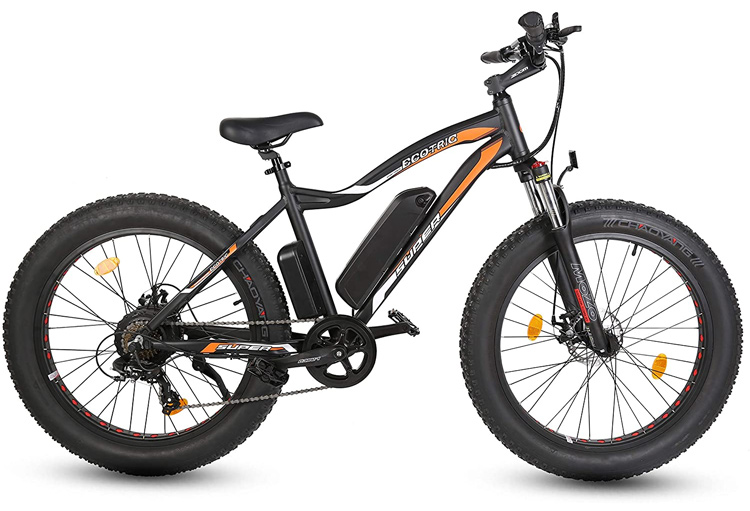 Ecotric Fat Tire Electric Bicycle