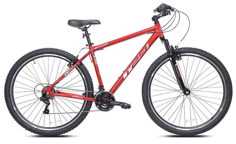 Kent T 29 Mountain Bike