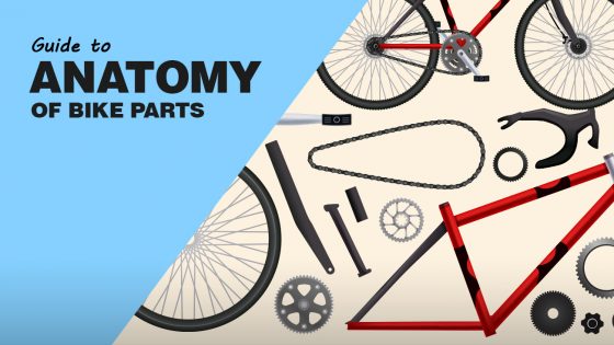Bike Anatomy