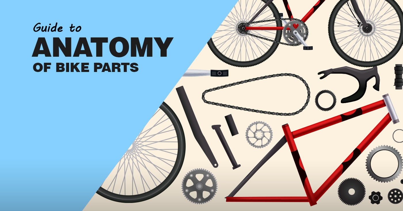 Bike Anatomy