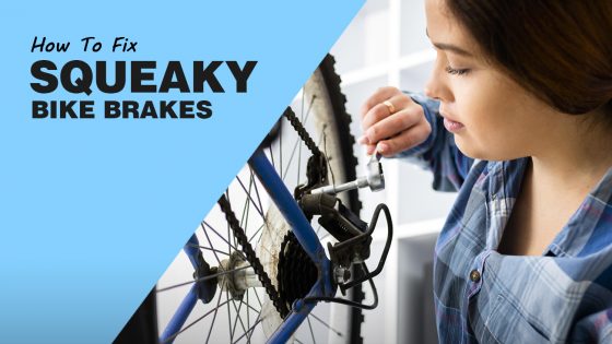 Squeaky Bike Brakes