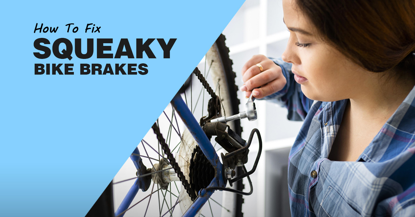 Squeaky Bike Brakes