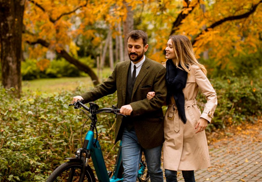 Electrical Bicycle