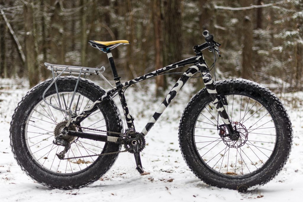 Fat bike with 4 in knobby tires and a rear rack standing on a snowy forest trail
